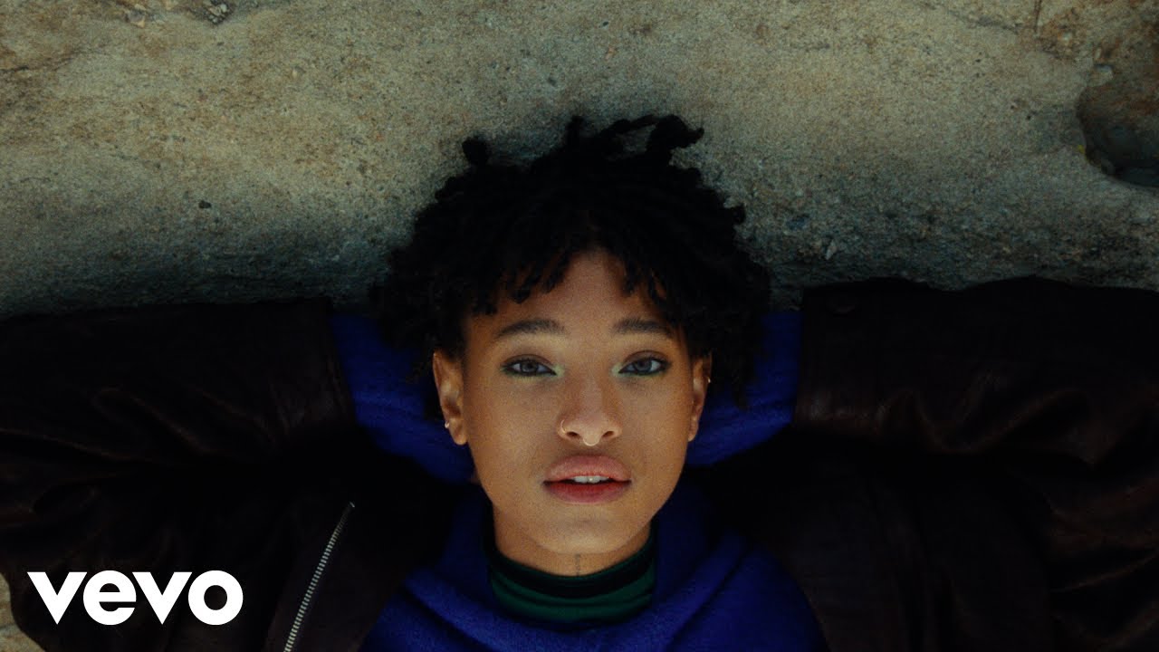 music in 2024: willow – symptom of life
