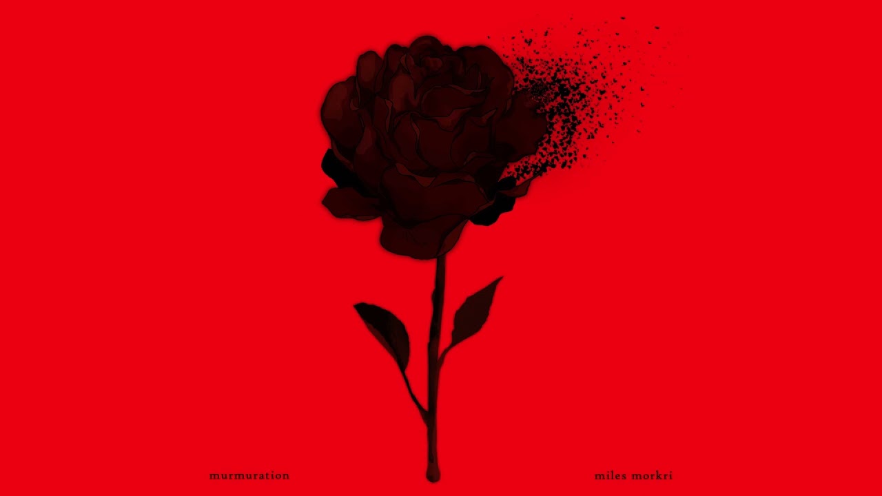 music in 2025: miles morkri – murmuration